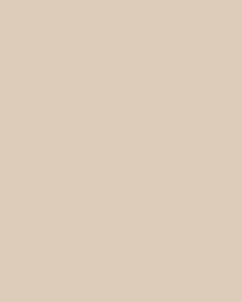 14243663 Ribbed Turtleneck - Sand