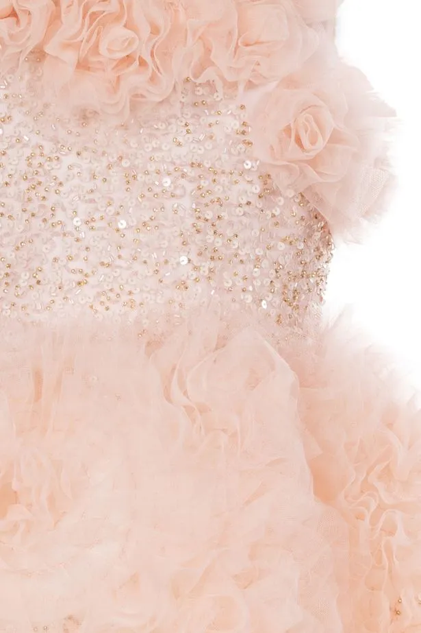 Embellished Tulle Gown